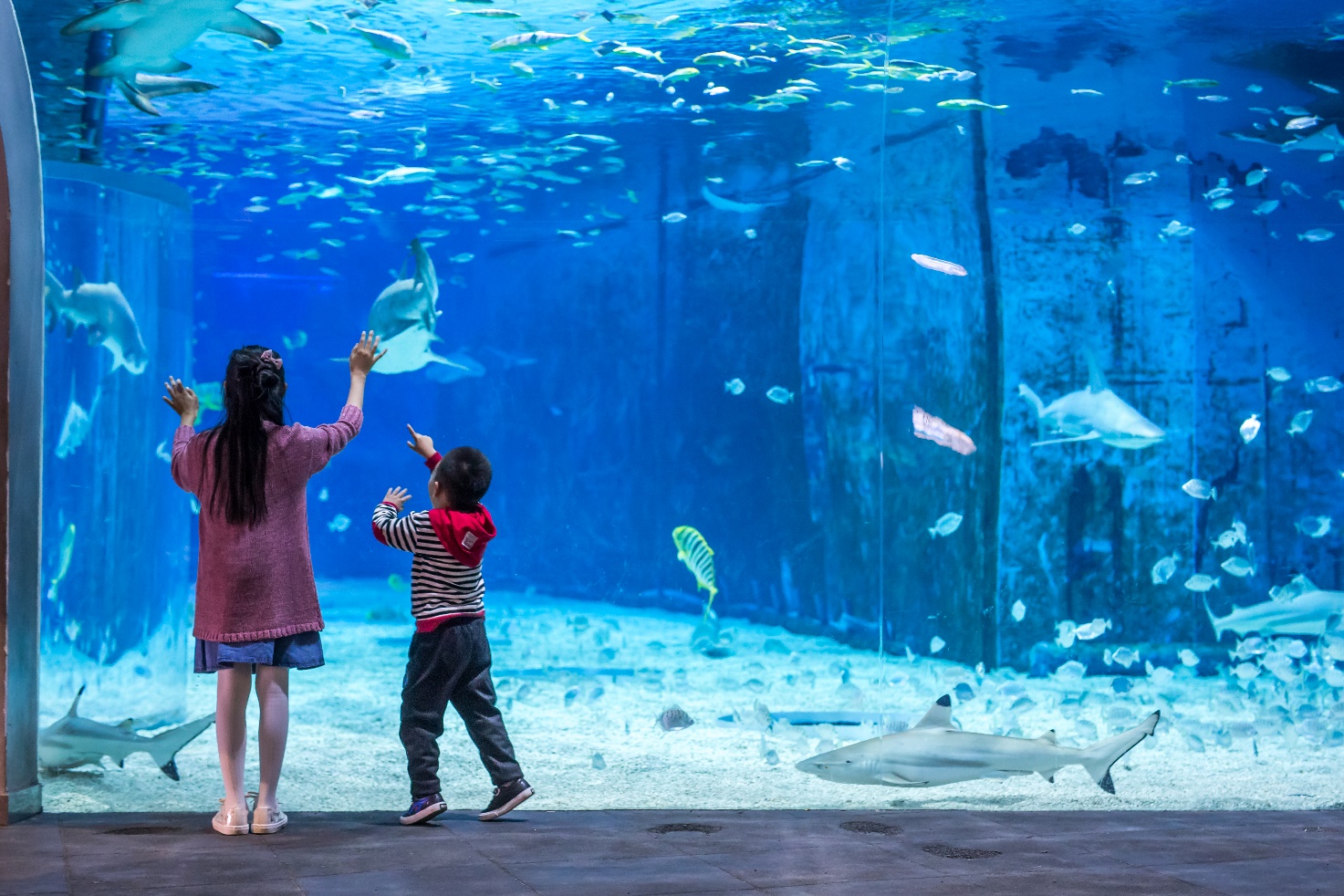 北京海洋馆打造六一儿童节海洋奇妙之旅，妙趣童心相约海洋梦